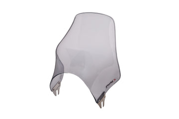 KAWASAKI W 230 [2025] – Naken kåpa vindruta – tonad