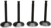 Harley Davidson FX Shovel [KIBBLEWHITE] – Black Diamond™ Motorventilsatz