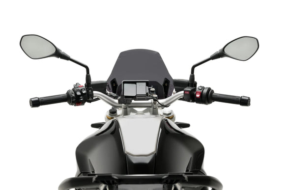 BMW R 1250 R [2025] — Спорт нового поколения — Прозрачный