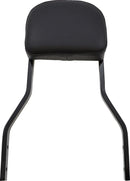 Harley-Davidson Street Bob [COBRA] – Aftageligt ryglænssæt-2