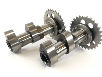 Aprilia Mille RSV 1000 ME [1999] - As árvores de cames definem o cilindro frontal - 0