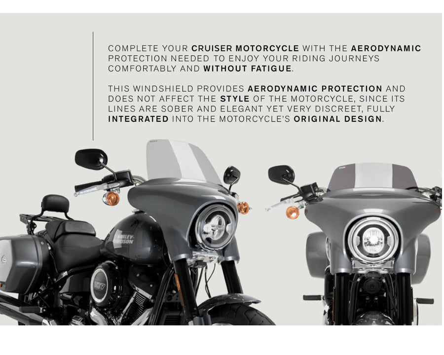 HARLEY DAVIDSON SOFTAIL LOW RIDER ST FXLRST [2025] — для шоссейных дорог