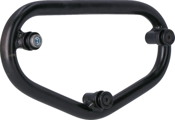 ducati monster 1200 [SW-MOTECH] – SLC Seitengepäckträger