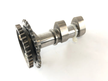 Aprilia RSV 1000 RR Factory [2009] - Цилиндр распределительного вала распределительного вала позади