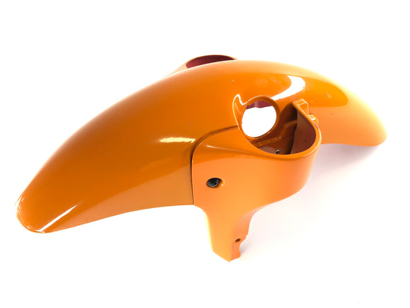 Triumph Tiger 900 T400 [1998] - Fendere foran frontfenderen