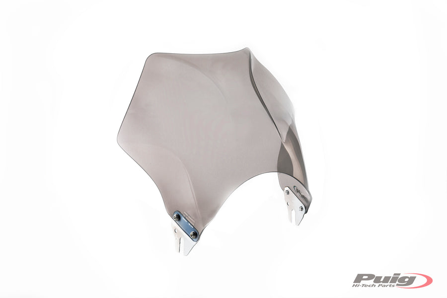 SUZUKI GSF 650 BANDIT ABS [2006] – Raptor – Getönt