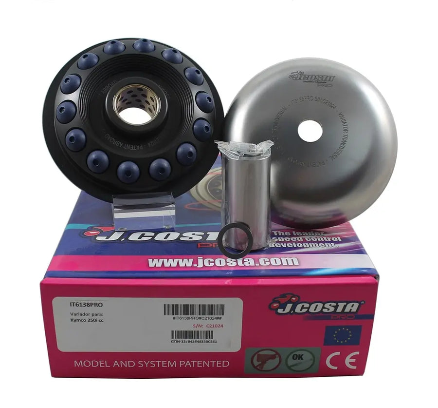 Daelim S2 125 F.I Freewing [2009] – Variator Pro – pilt 1