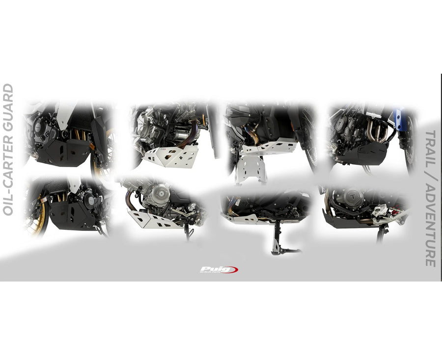 BMW F 900 GS ADVENTURE [2024] – Protezione motore – Argento