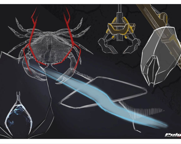 BMW R 1250 R [2025] — Спорт нового поколения — Черный