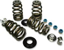 Buell S 3 Thunderbolt [1996] - Kit molle valvola Econo Beehive® - immagine 7