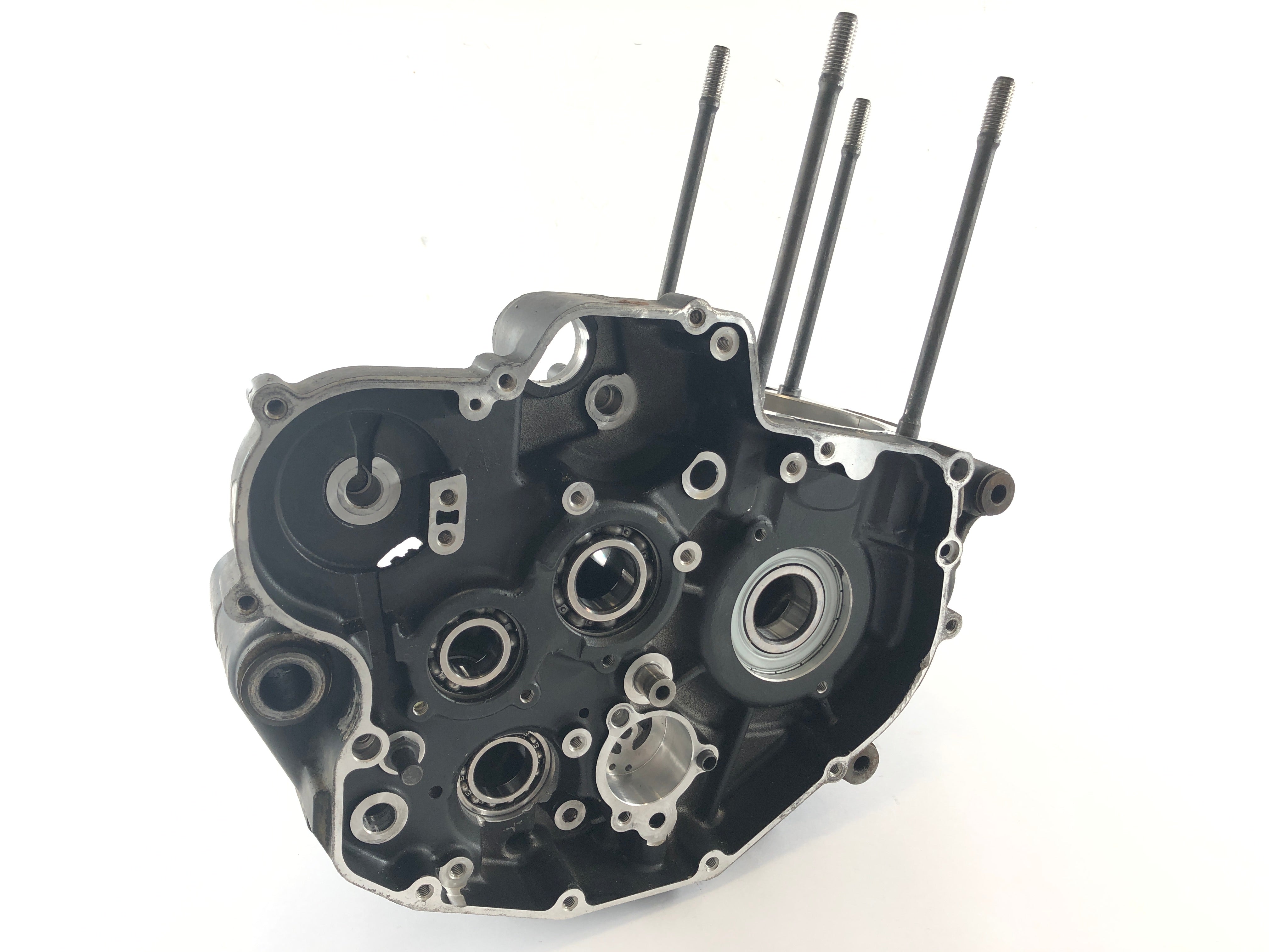 Husqvarna TE 510 [2008] - Engine housing empty housing