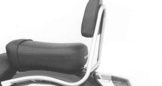 Honda VT 750 C2 [1997-2001] - Sissybar uden bagagebro