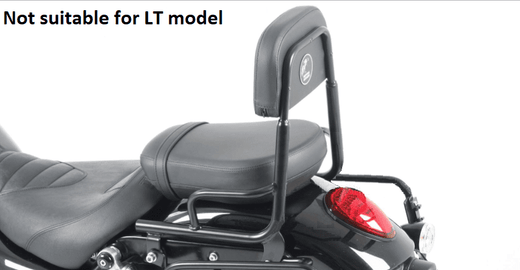 Triumph Thunderbird 1600 [2009-2018] - Sissybar without luggage bridge