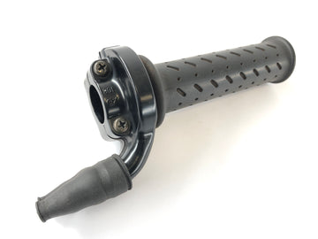 Triumph Daytona 955i T595N [2001] - Gass a destra - 0