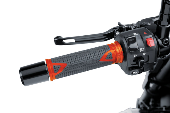 KAWASAKI Z 125 [2025] — радикальные ручки — титан