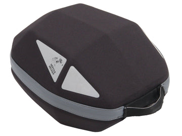 BMW R 1300 R [2025 - ] - Royster Daypack