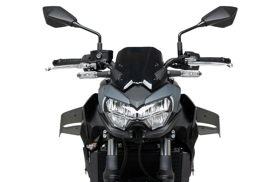 KAWASAKI Z 650 [2025] – D12 spoiler – Matzwart