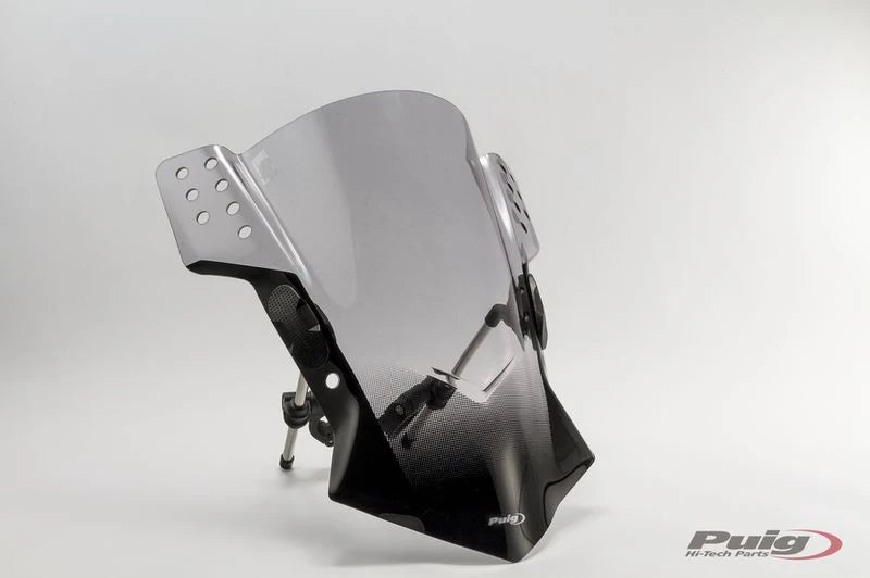 SUZUKI INAZUMA [2016] – Rafale – Getönt