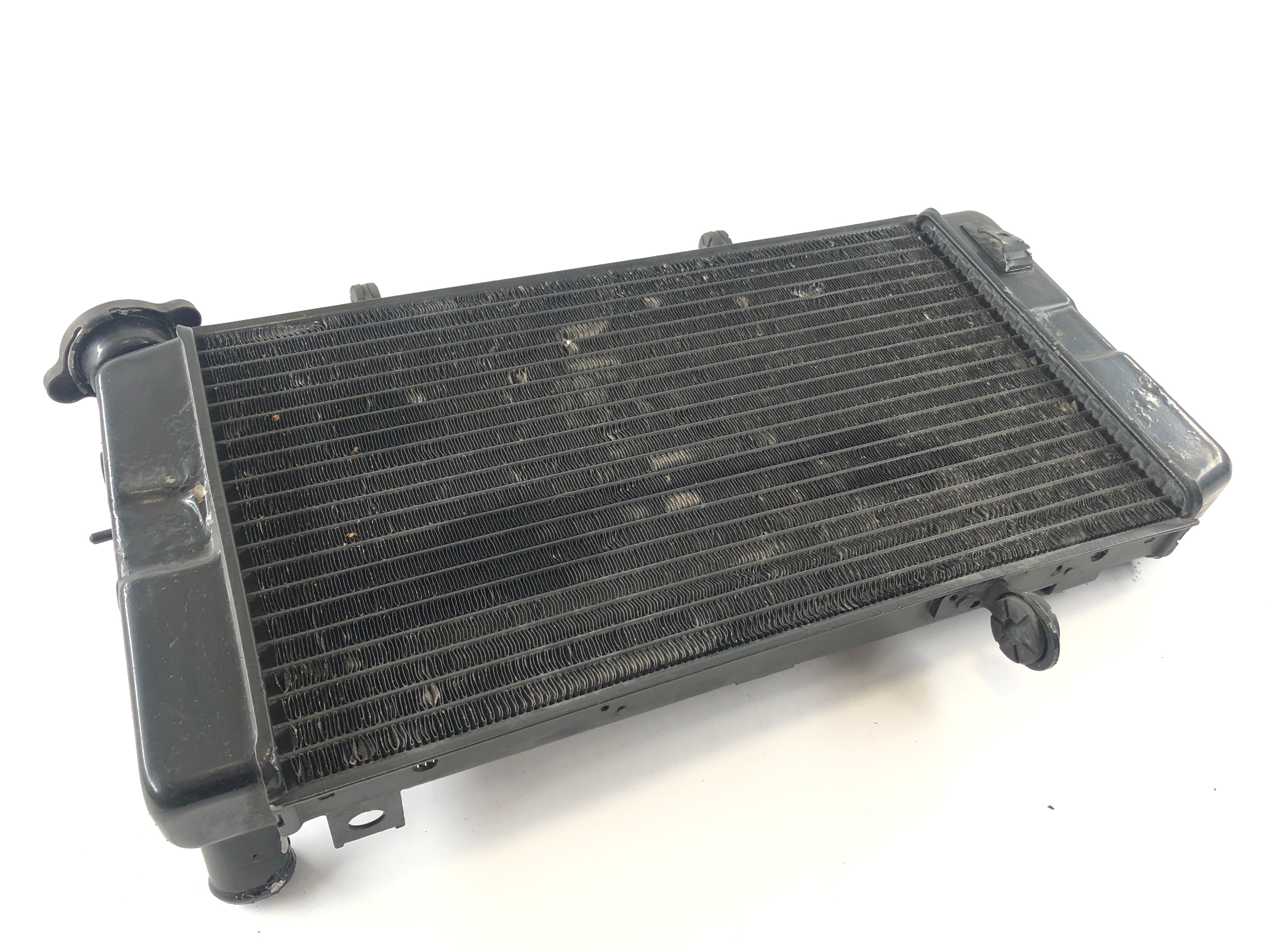 Suzuki DL 1000 V-Strom [2006] - Radiator Water Cooler