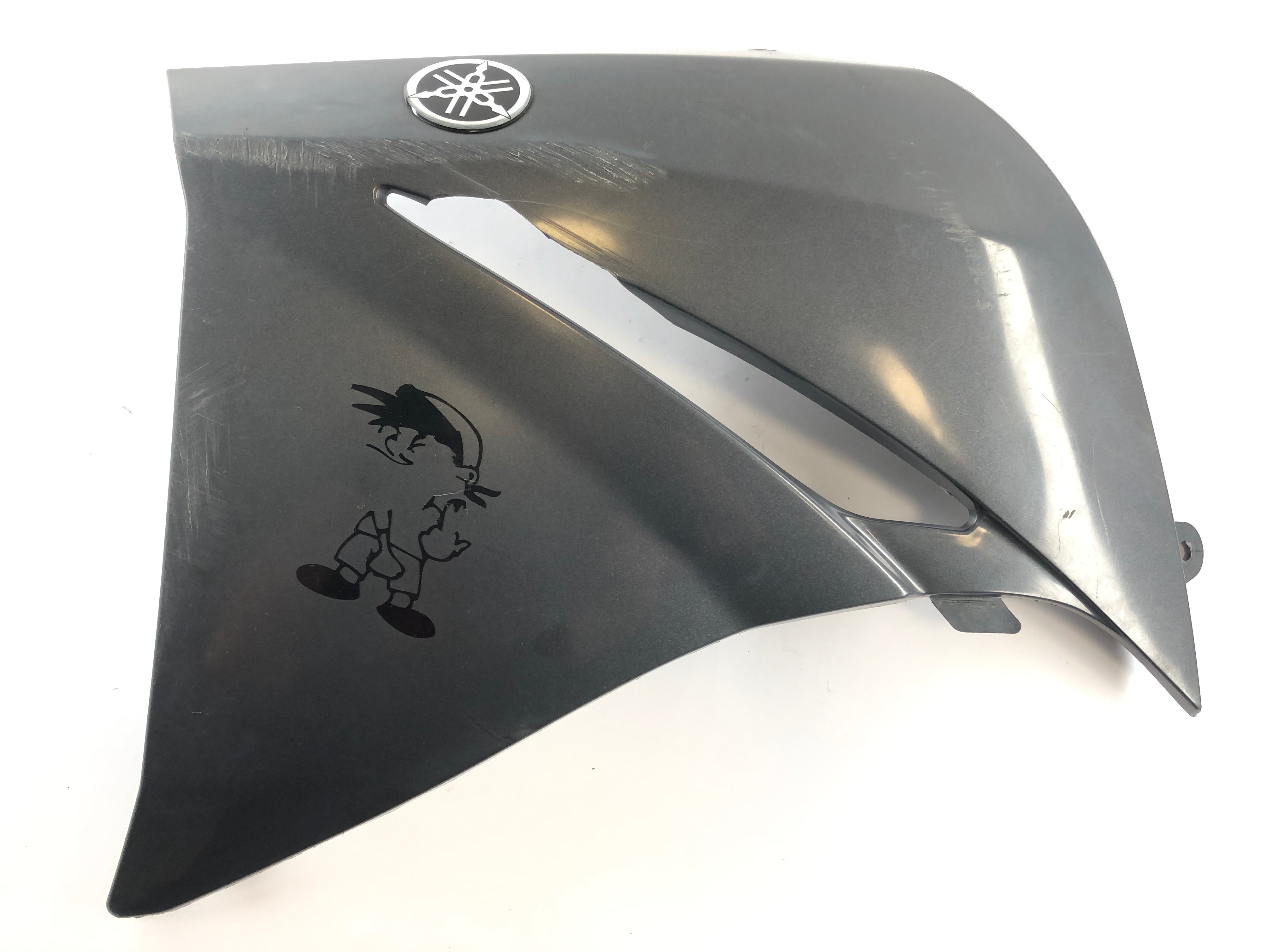 Yamaha XT 660 DM01 [2005] - Clearing Side Fladding vlevo