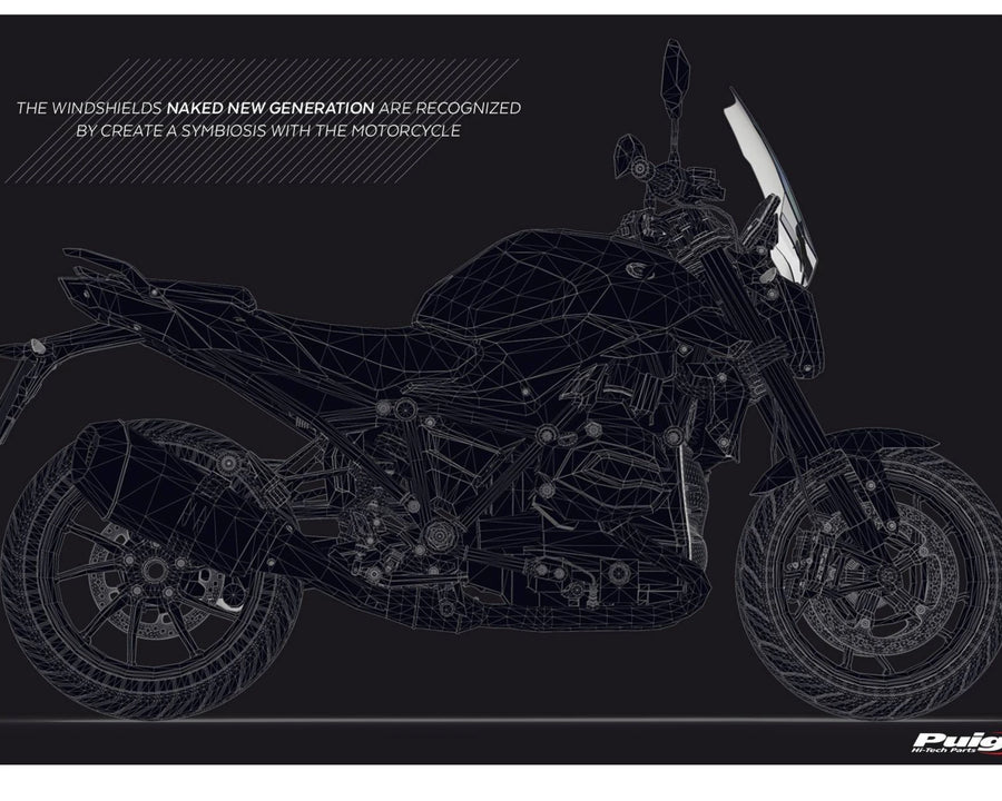 BMW R 1250 R [2025] – New Generation Sport – Transparent