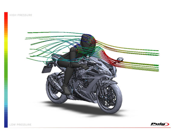 KAWASAKI ZX-10RR NINJA PERFORMANCE [2018] – R-Racer スクリーン – 濃い色合い