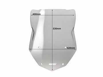 BMW R 1200 R [WRS] – Windschild - 0