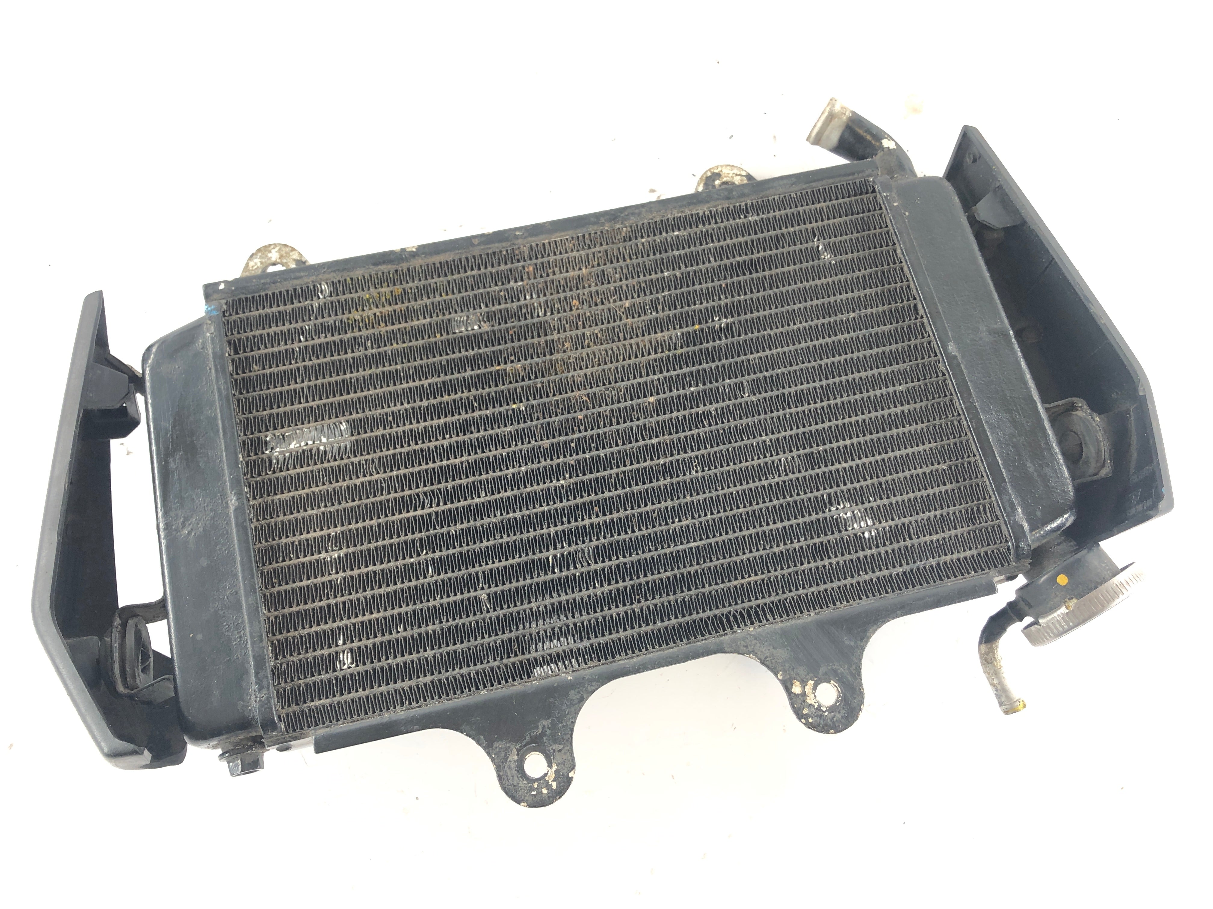 KTM Duke 125 [2011] - Radiator Water Cooler