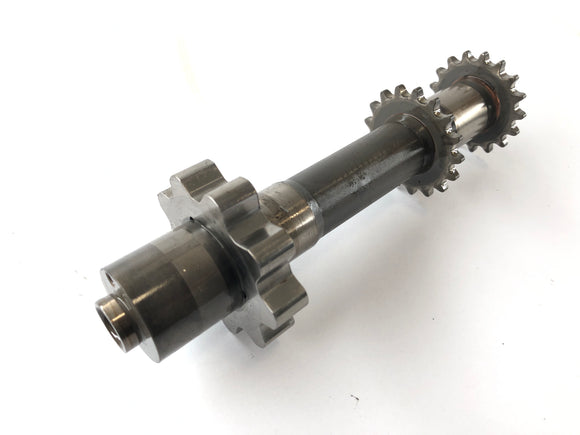 BMW R 1100 R 259 [1995] - łańcuch sterowania falami