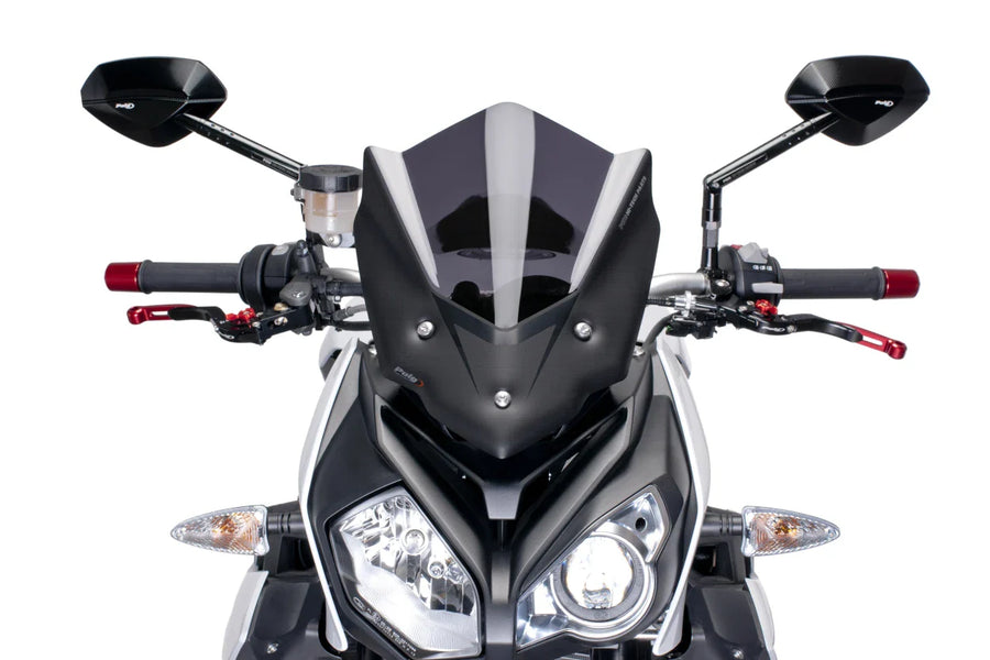 BMW S 1000 R [2018] – New Generation Sport – Stark getönt