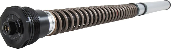 ducati scrambler 1100 [OHLINS] – FKS-patruunasarja