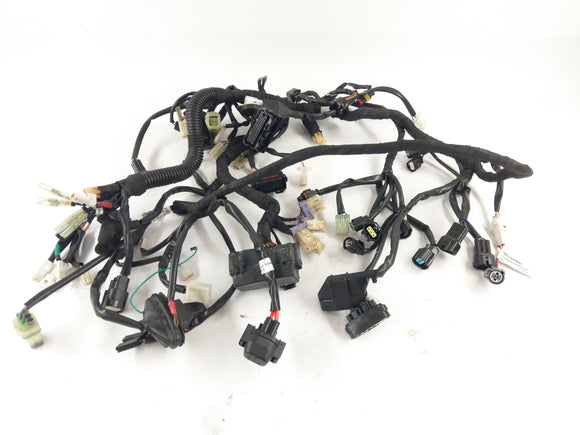 Husqvarna 701 Vitpilen [2018] - Wiring harness