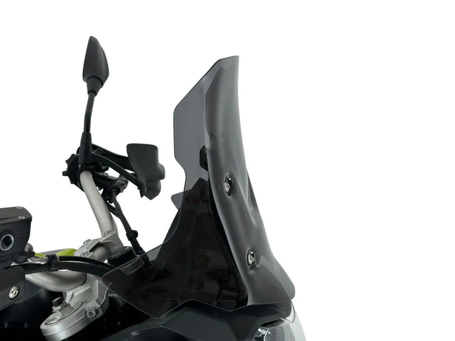 BMW F 900 GS [WRS] - parabrezza