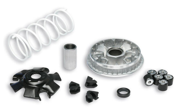 Suzuki En 125 [MALOSSI] - Multivar 2000 variator