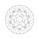 Honda Hornet 600 [BREMBO] - Disque de frein flottant rond Série Oro-2