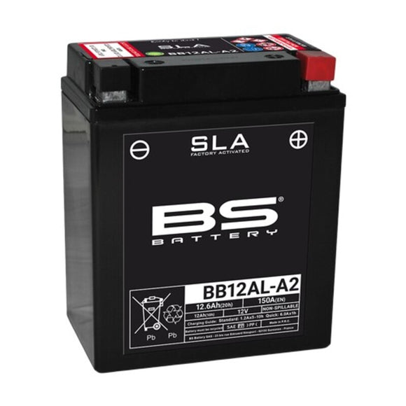 Yamaha XT 600 43F [BS BATTERY] - Motorradbatterie