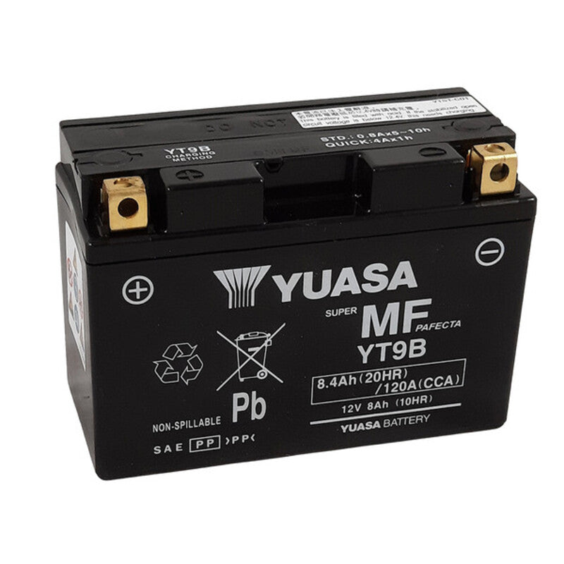 Yamaha XT 660 X [YUASA] - Motorradbatterie