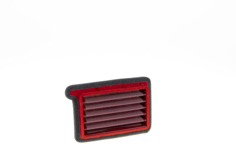 Triumph Tiger 660 [BMC] - Air filter - FM01124
