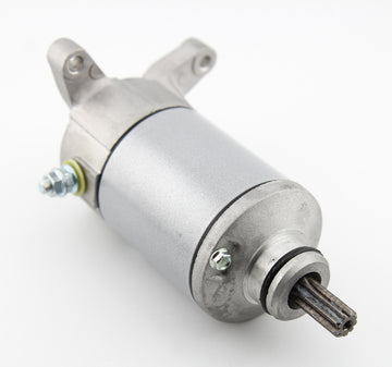 Suzuki Dl 800 V-Strom [ARROWHEAD] - Starter - Suzuki