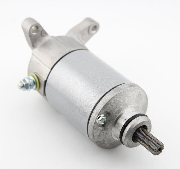 Suzuki Dl 650 V Strom [ARROWHEAD] - Starter - Suzuki