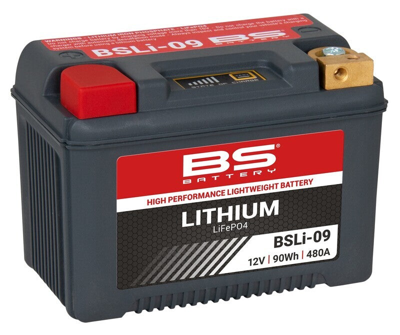 Triumph Tiger 900 Rally [BS BATTERY] - Lithium-Ionen-Batterie - BSLI-09
