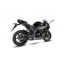 Kawasaki Ninja1000 [IXIL] - RC3B サイレンサー Kawasaki Ninja1000 SX 20-