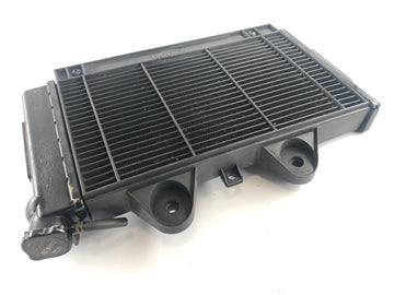 Triumph Daytona 1200 T300D [1995] - Relier d'acqua - 0