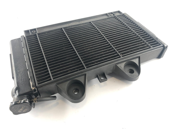 Triumph Daytona 1200 T300D [1995] - Relier d'acqua