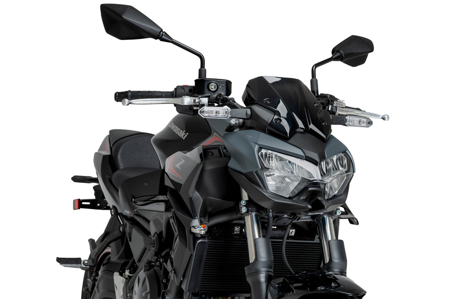 KAWASAKI Z 650 [2025] – D12 spoiler – Matzwart