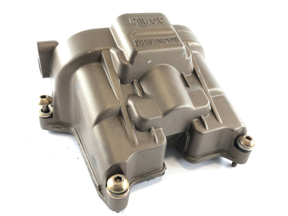 Aprilia RSV 1000 RR Factory [2009] - Цилиндр крышки клапана сзади