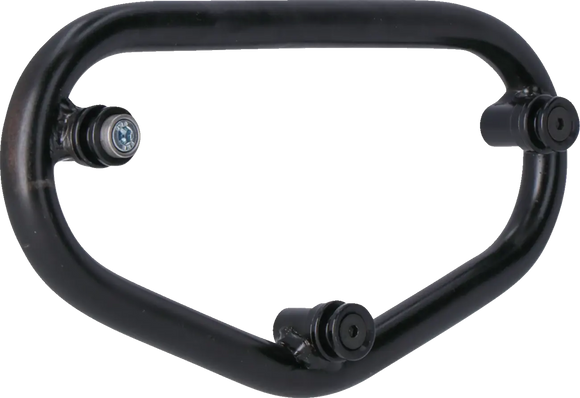 ducati monster 1200 [SW-MOTECH] – SLC Seitengepäckträger