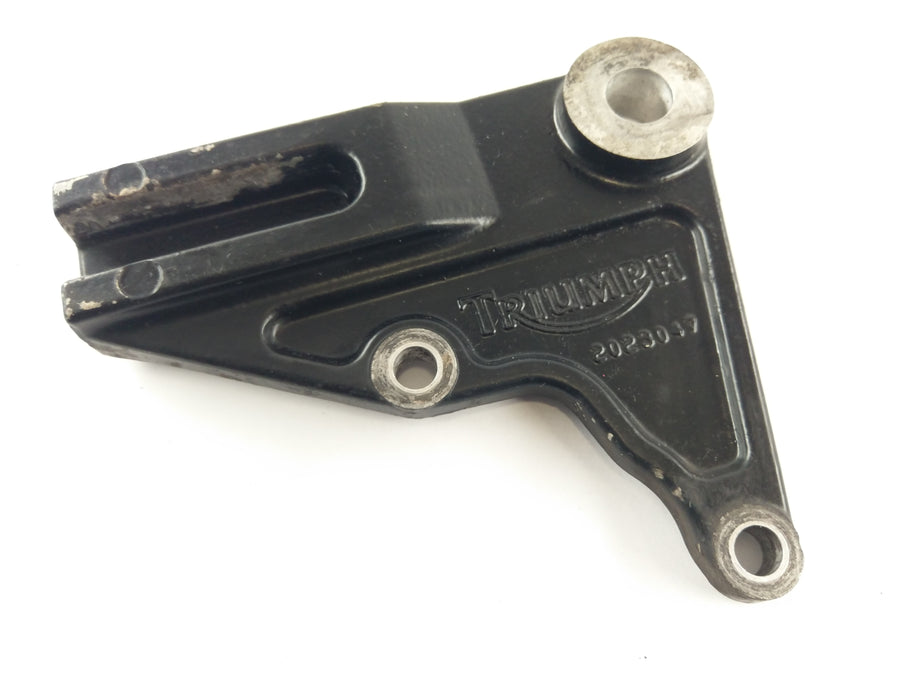 Triumph Bonneville 800 T100 [2004] - Brake anchor anchor plate