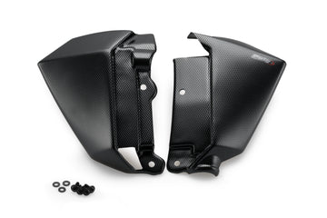 KAWASAKI Z 650 [2019] – Kühlerdeckel – Carbon look - 0