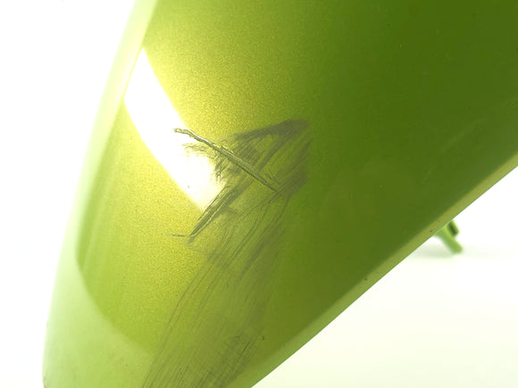 Triumph Street Triple R 675 D67ld [2008] - Fender Front Fenders framtill